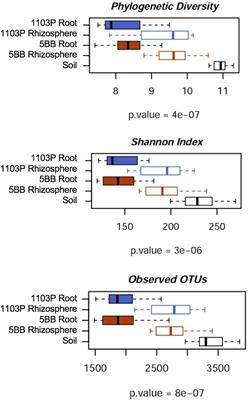 The Rootstock Regulates Microbiome Diversity in Root and Rhizosphere Compartments of Vitis vinifera Cultivar Lambrusco